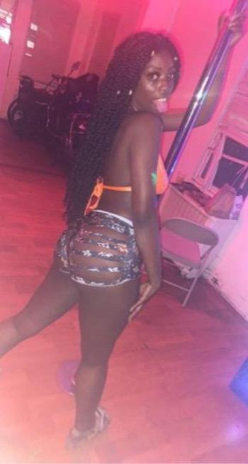 KOKO, 23  female escort, Brooklyn