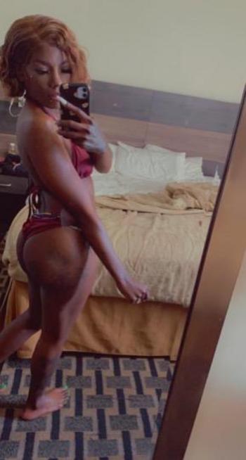 Dee, 24  female escort, Brooklyn