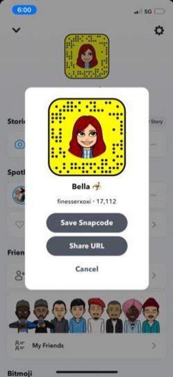 3234926437, female escort, Brooklyn