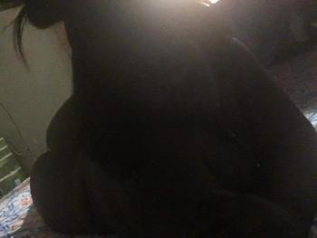9177916995, female escort, Brooklyn